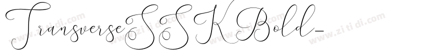 TransverseSSK Bold字体转换